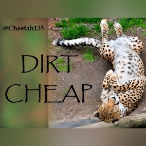 DIRT CHEAP!! 🐆